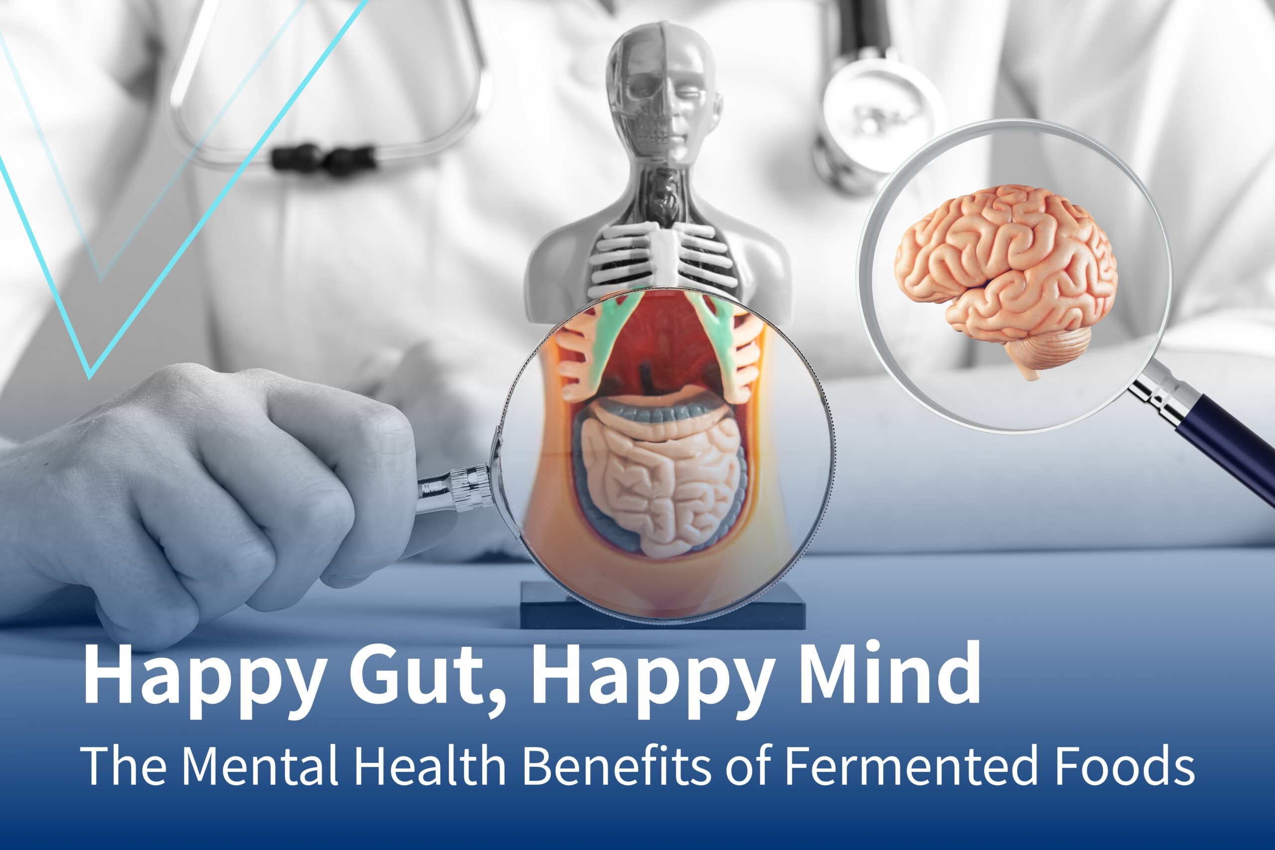 Happy Gut, Happy Mind: The Mental Health Benefits of Fermented Foods